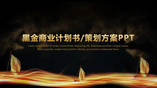 黑金商业计划书PPT模板