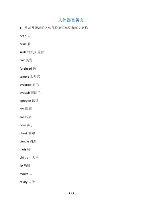 人体器官 英文版  配图