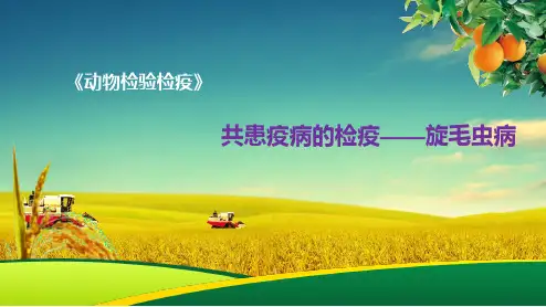 共患疫病的检疫——旋毛虫病