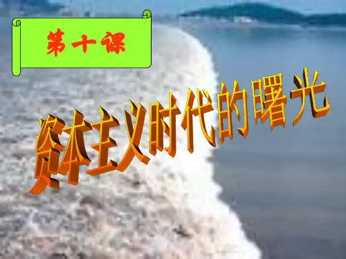 【一线精品】  资本主义时代的曙光2 人教版优秀公开课件