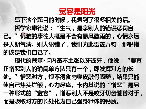 高中议论文写作之开篇破题ppt