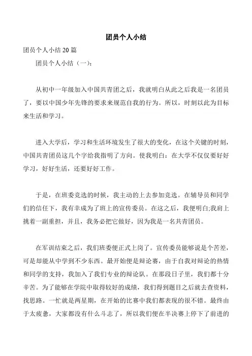 团员个人小结