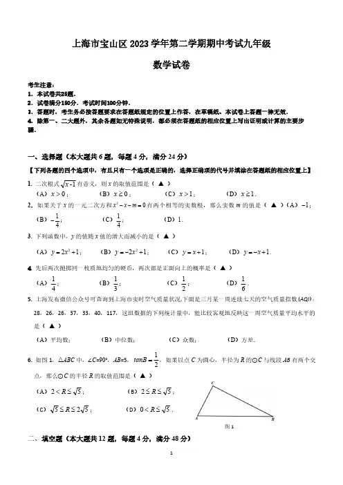 2024年上海市宝山区九年级中考二模数学试卷(含解析)