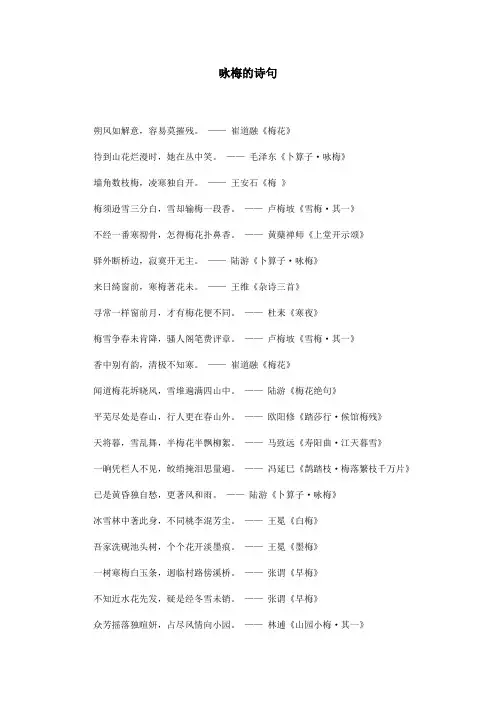咏梅的诗句