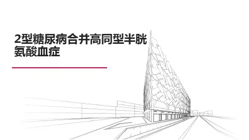 2型糖尿病合并高同型半胱氨酸血症的病例讨论