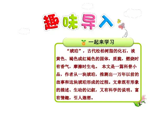 北师大版小学语文六年级下册课件：琥珀【第1课时】