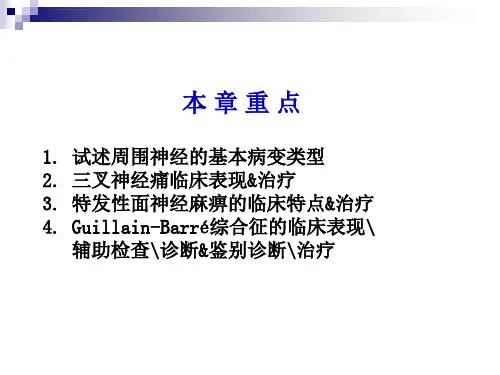 周围神经疾病内科学ppt课件