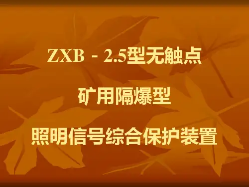 ZXB4照明信号综合保护装置