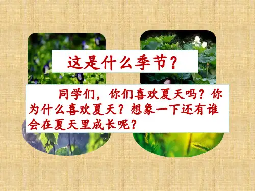 六年级上册语文课件-15 夏天里的成长人教(部编版) (共60张PPT)