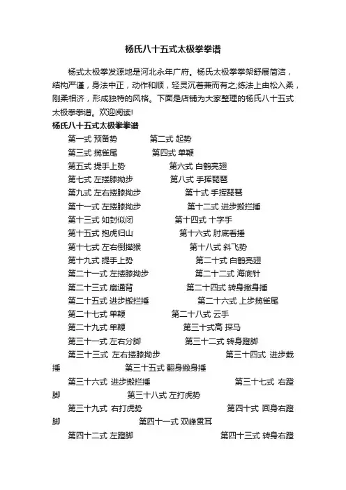 杨氏八十五式太极拳拳谱