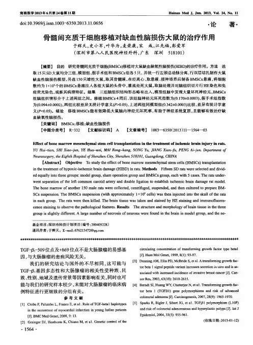 骨髓间充质干细胞移植对缺血性脑损伤大鼠的治疗作用