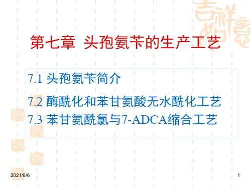 第七章 头孢氨苄的生产工艺