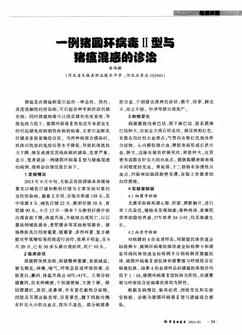 一例猪圆环病毒Ⅱ型与猪瘟混感的诊治