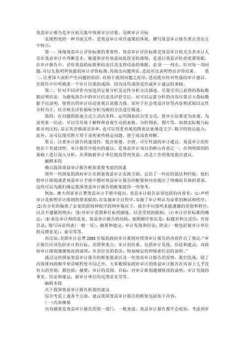效益审计报告范文