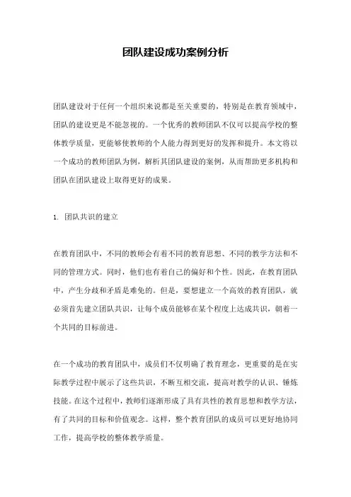 团队建设成功案例分析