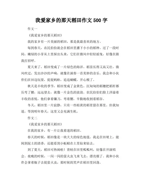 我爱家乡的那天稻田作文500字