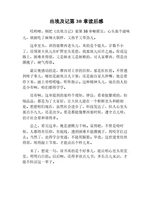 出埃及记38章读后感