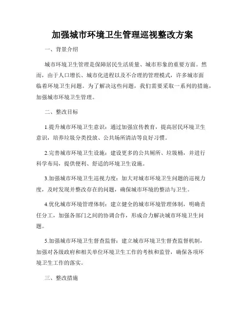 加强城市环境卫生管理巡视整改方案