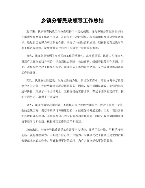 乡镇分管民政领导工作总结