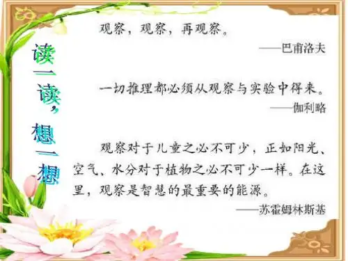 六年级语文下册习作四《一个有趣的实验》 优秀课件1苏教版
