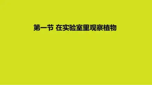 冀教版生物七年级上册1.3.1在实验室里观察植物课件(19ppt)
