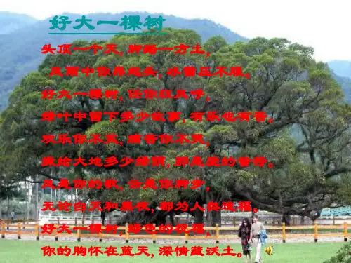 《那树》ppt课件(27页)