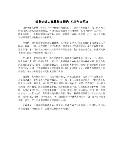 想象走进大森林作文精选_初三作文范文