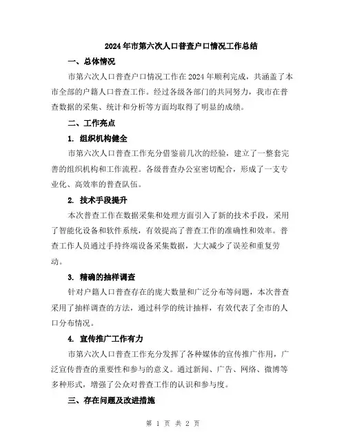 2024年市第六次人口普查户口情况工作总结