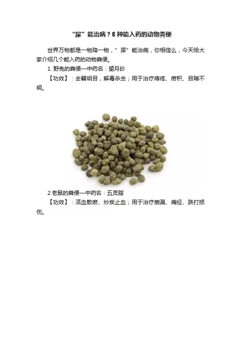 “屎”能治病？8种能入药的动物粪便