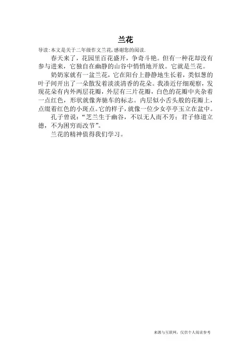 兰花_二年级作文