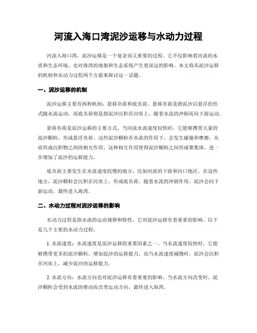 河流入海口湾泥沙运移与水动力过程