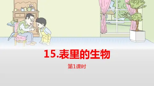 《表里的生物》语文教学PPT课件(5篇)