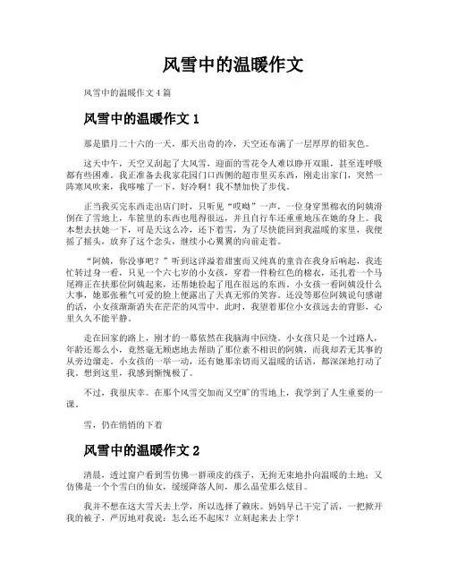 风雪中的温暖作文