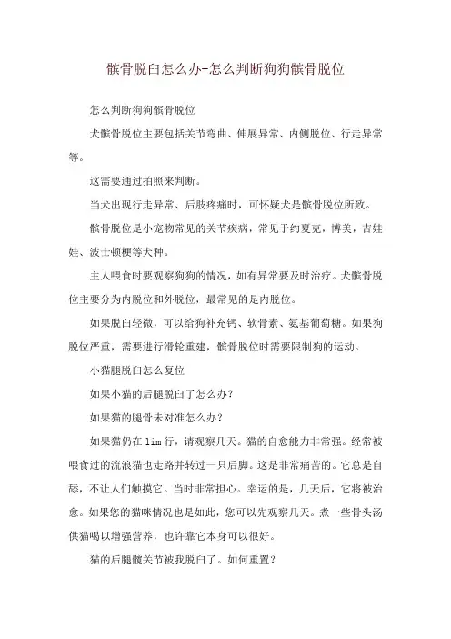 髌骨脱臼怎么办-怎么判断狗狗髌骨脱位