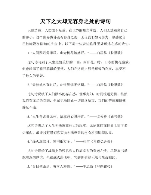 天下之大却无容身之处的诗句