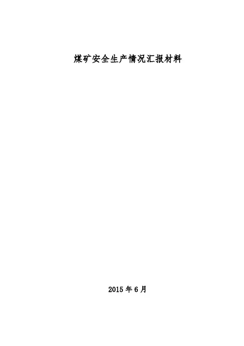 安全生产情况汇报材料