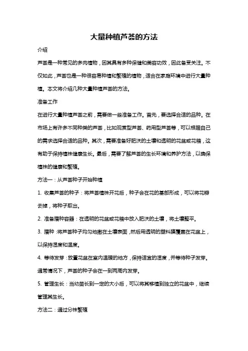 大量种植芦荟的方法