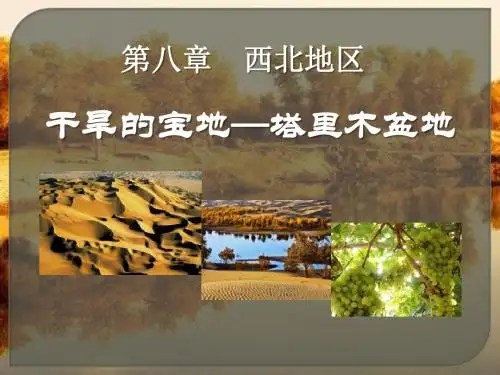 人教版 干旱的宝地 PPT课件(上课用)1