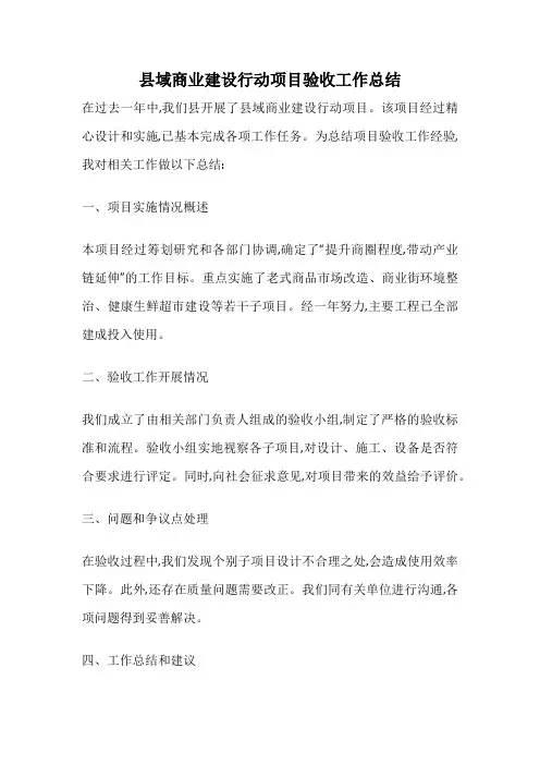 县域商业建设行动项目验收工作总结