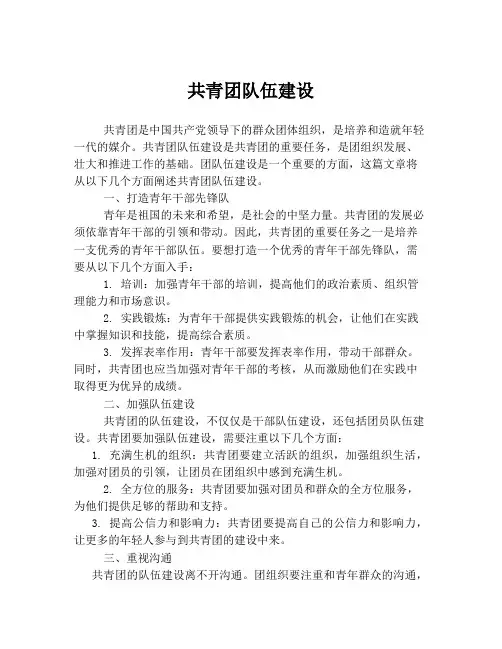 共青团队伍建设