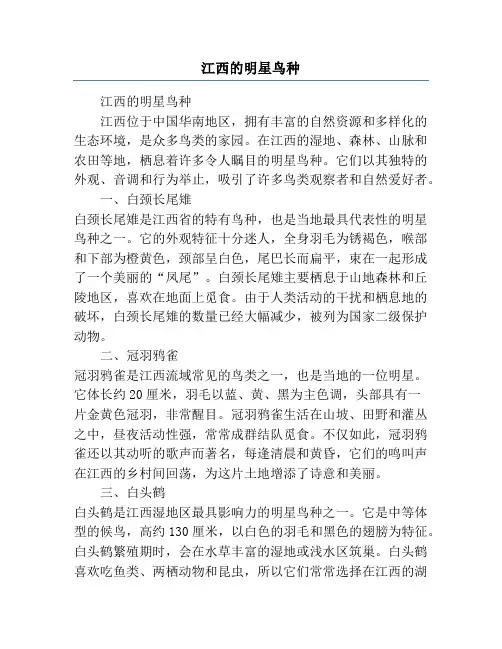 江西的明星鸟种