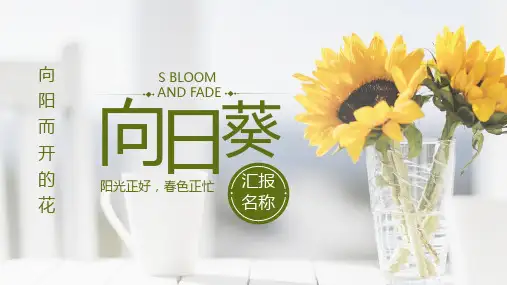 向日葵小清新通用PPT模板