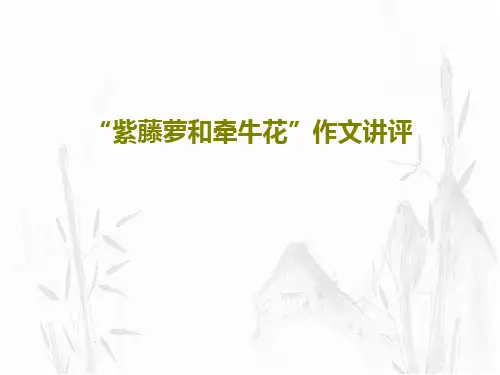 “紫藤萝和牵牛花”作文讲评36页PPT