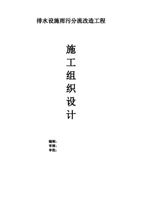 排水设施雨污分流改造工程施工组织设计方案