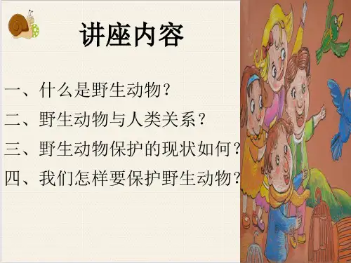 野生动物保护知识讲座PPT.