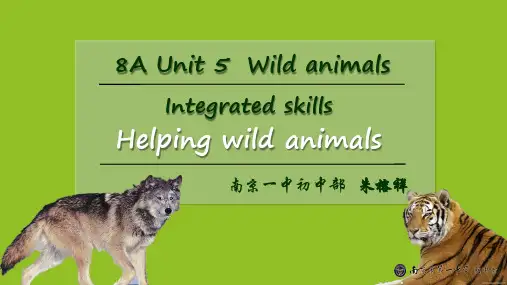 牛津译林版八年级上册英语《Unit 5 Wild animals Integrated skill》课件公开课 (1)