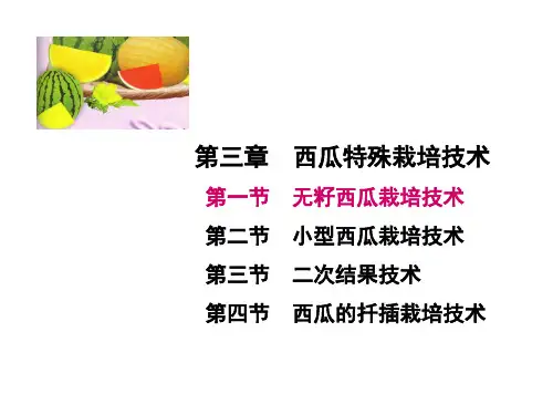 西瓜ppt课件