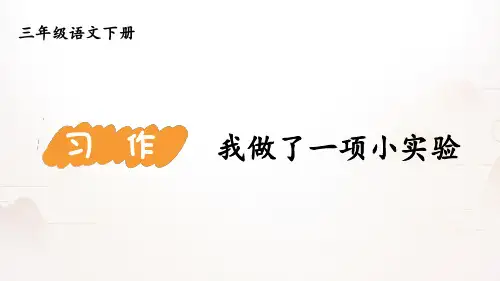 统编版语文三年级下册习作：我做了一项小实验 课件(共14张PPT).ppt