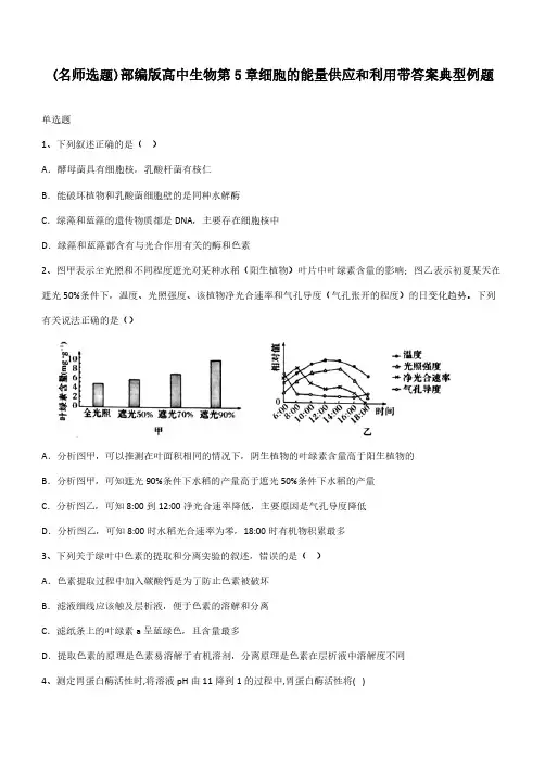 部编版高中生物第5章细胞的能量供应和利用带答案典型例题