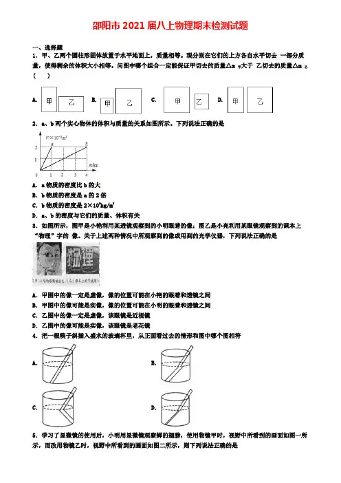 邵阳市2021届八上物理期末检测试题